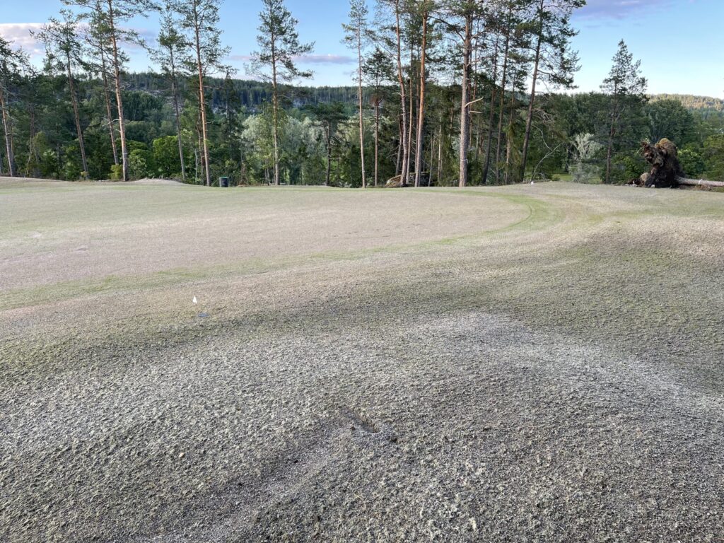 Sundsvalls Golfklubb bild- Sundsvalls Golfklubb green uppväxt