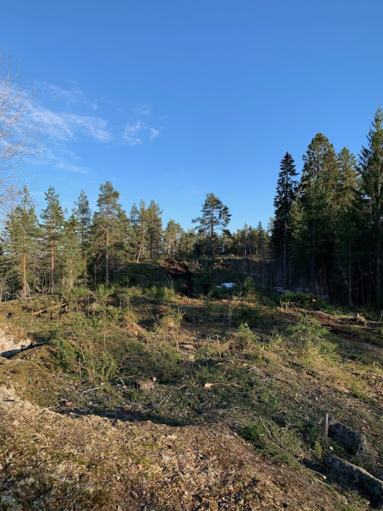 Sundsvalls Golfklubb bild- Sundsvalls Golfklubb hal 9 avverkning projekt