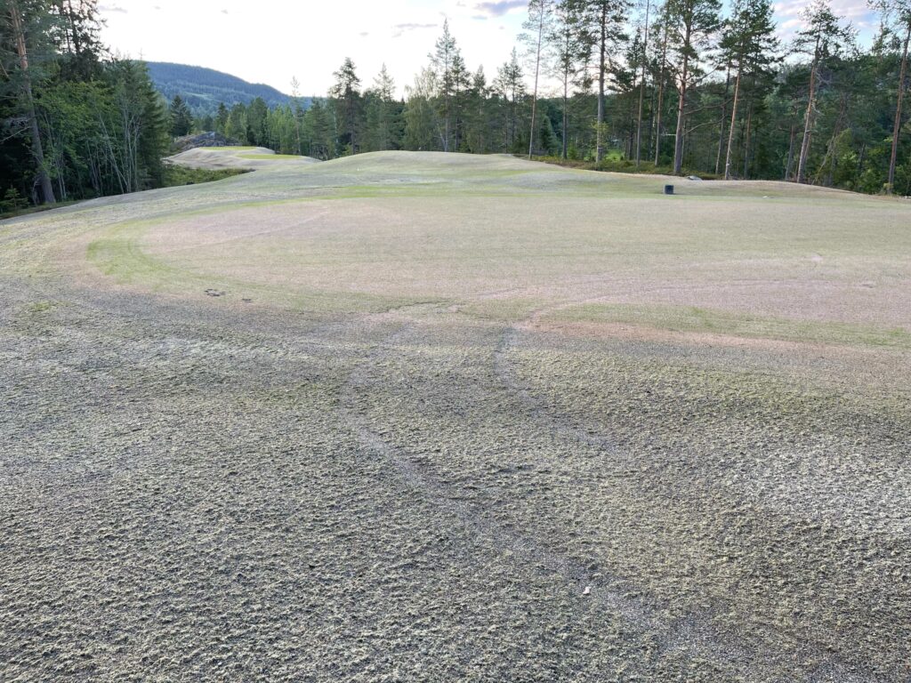 Sundsvalls Golfklubb bild- Sundsvalls Golfklubb vecka27 green